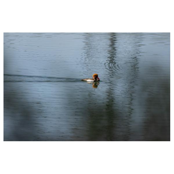 PHOTO84, CLUB, 84 , LUBERON